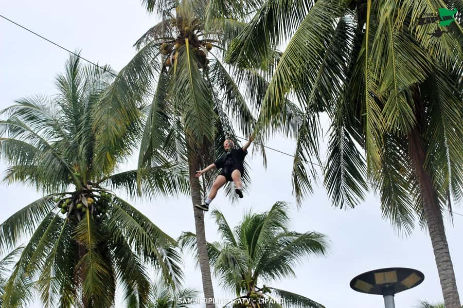 Koh Samui: Panoramic Zipline Experience at Samui Zipline - A jungle flight built around real views, not just speed
