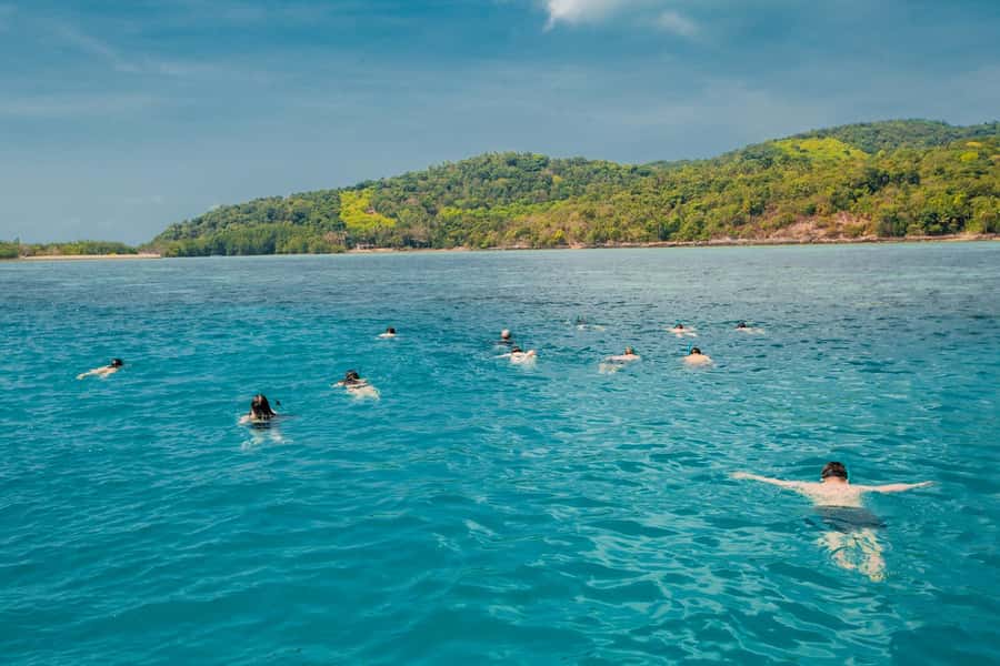 Koh Samui: Pig Island & Koh Tan Speedboat Tour with Lunch - The plan in a few sharp facts