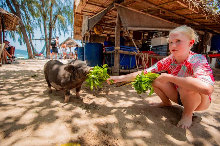 Koh Samui: Pig Island & Koh Tan Speedboat Tour with Lunch - Smart tips to make this day more comfortable