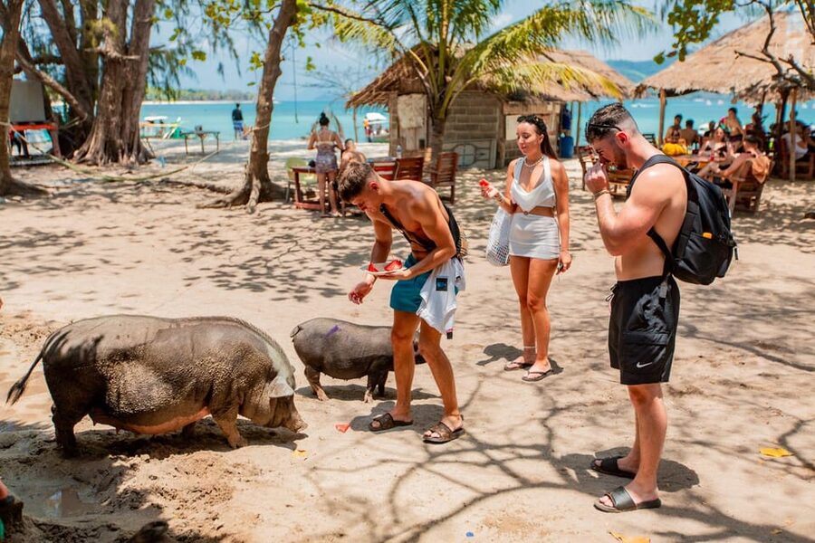 Koh Samui: Pig Island & Koh Tan Speedboat Tour with Lunch - Speedboat reality check: the fun comes with some movement
