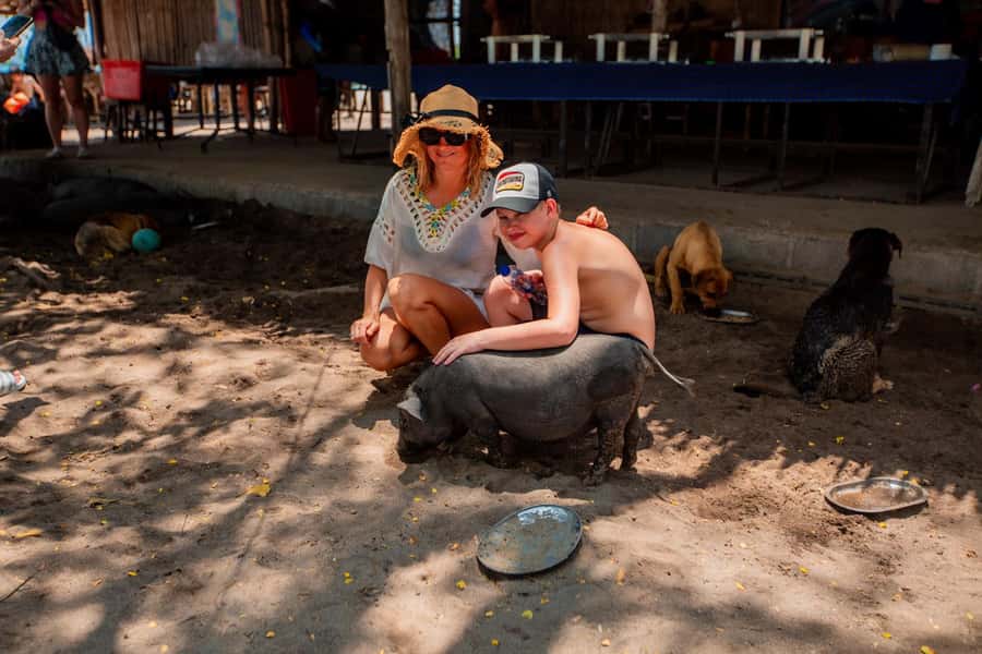 Koh Samui: Pig Island & Koh Tan Speedboat Tour with Lunch - What’s included, what costs extra, and why the price makes sense
