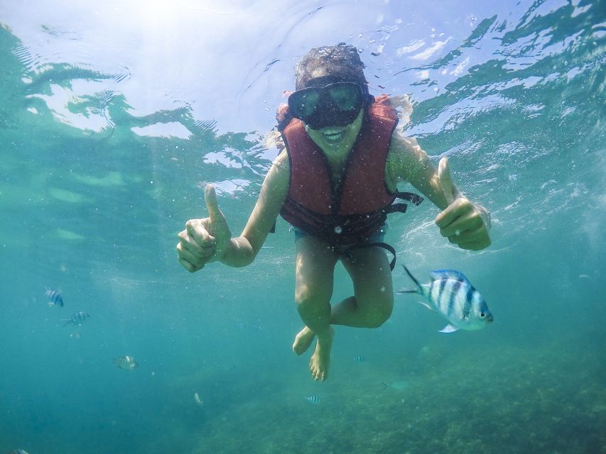 Koh Samui: Pig Island Tour by Speedboat with Snorkeling - Key highlights that matter before you go