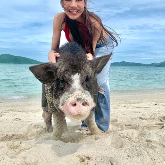 Koh Samui: Pig Island Tour by Speedboat with Snorkeling - Who should book this Koh Samui Pig Island speedboat tour?