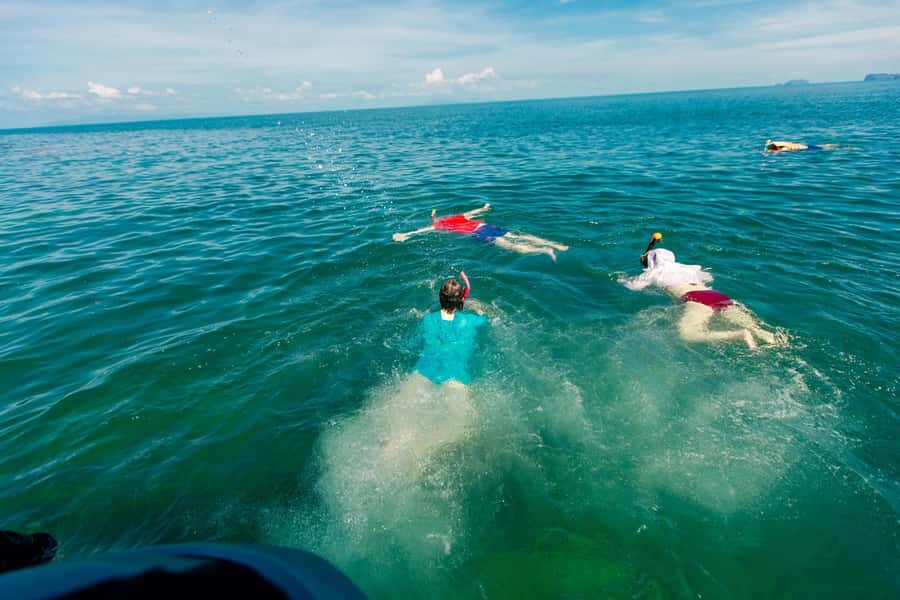Koh Samui Premium Ang Thong Kayaking & Snorkeling with Lunch - Koh Wua Snorkeling: Clear Water, Coral Reefs, Marine Life