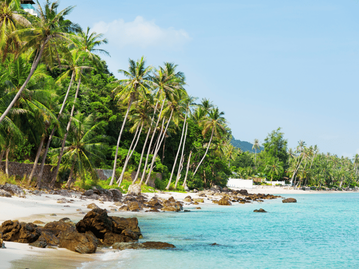 Koh Samui: Private Half-day Taxi Tour in the South - The half-day schedule that keeps things relaxed (and actually fun)