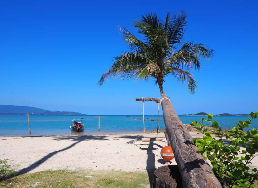 Koh Samui: Private Island Hopping Boat Tour - Koh Rap for relaxing and snorkeling time
