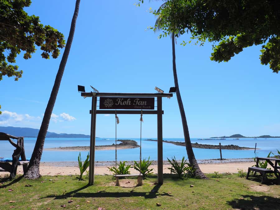 Koh Samui: Private Island Hopping Boat Tour - Koh Madsum pig island: fun meeting, smart pacing