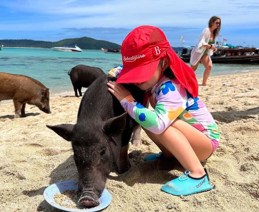 Koh Samui: Private Longtail Boat to Pig Island with Snorkel - Included vs Not Included: Don’t Get Caught at the Dock