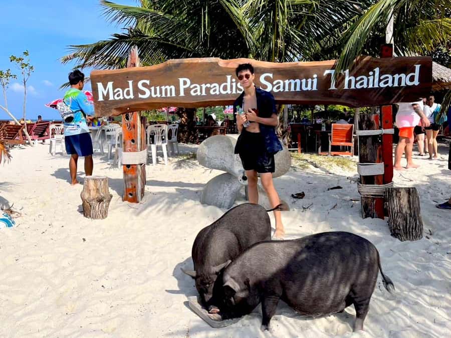 Koh Samui: Private Longtail Boat to Pig Island with Snorkel - Price and Value: About $93 for Two, Plus One Small Entry Fee