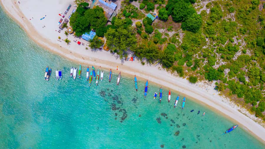 Koh Samui: Private Longtail Boat to Pig Island with Snorkel - Who This Tour Fits Best (And Who Should Skip It)