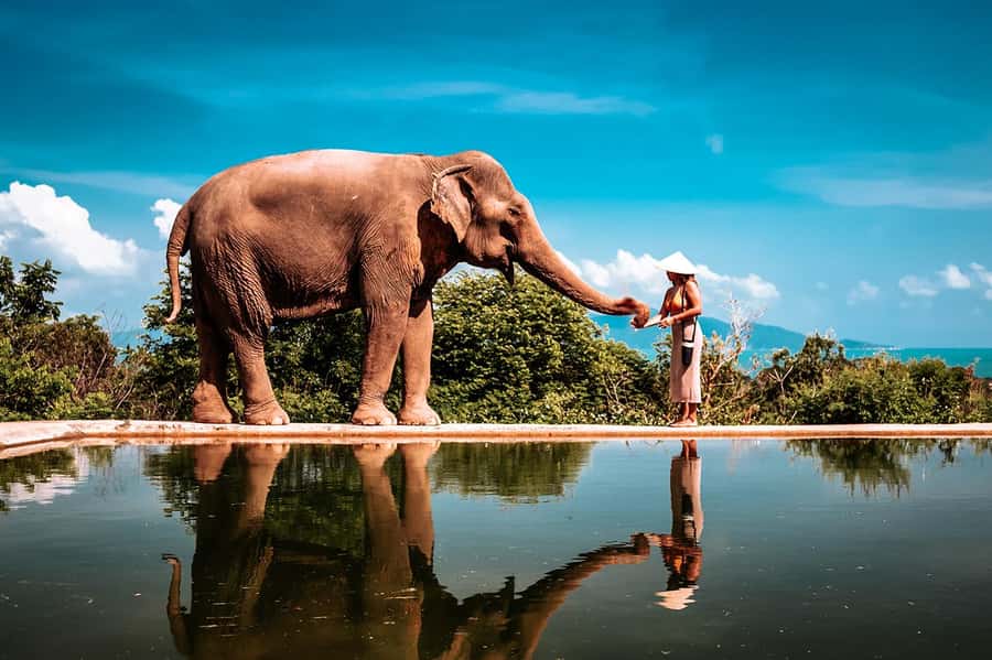 Koh Samui: Private Photoshoot for Couples & Families - Key highlights to know before you go