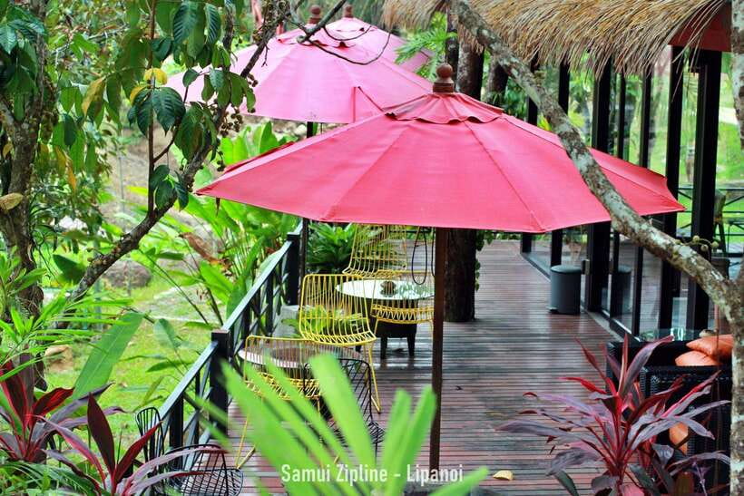 Koh Samui: Samui Zipline Adventure with Transfer service - Picking up time: why the listed 1 hour can turn into more