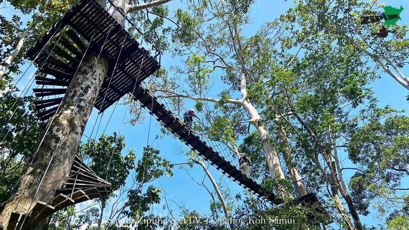 Koh Samui: Samui Zipline Adventure with Transfer service - Who this zipline adventure suits best (and who should skip it)