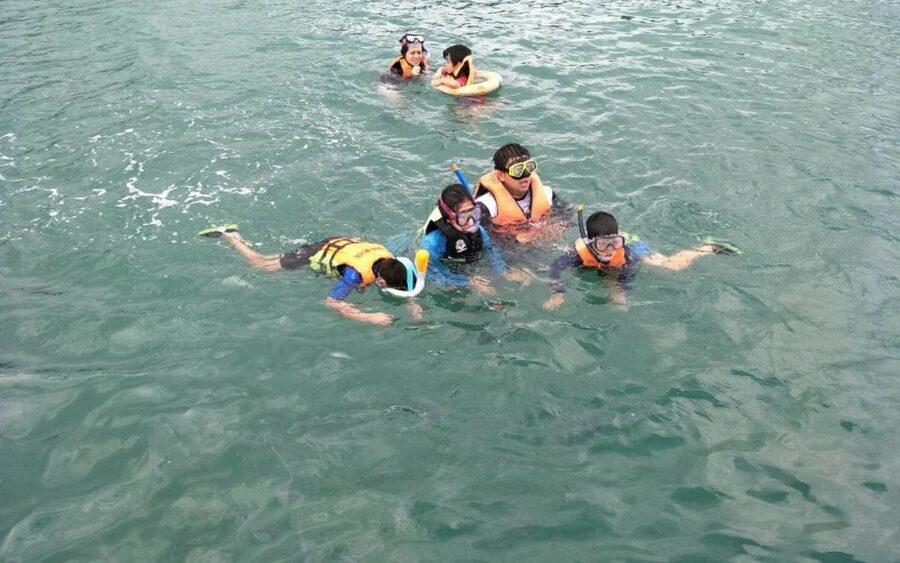 Koh Samui: Snorkeling and Kayaking by Speedboat - The Pig Island Moment: A Surprise Worth Watching For