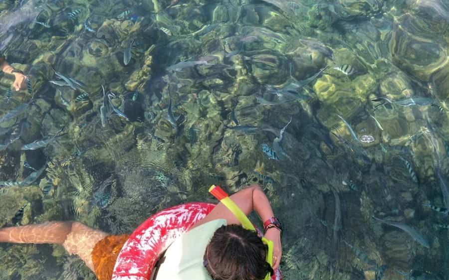Koh Samui: Snorkeling and Kayaking by Speedboat - Timing, Group Flow, and What Weather Really Does to the Day