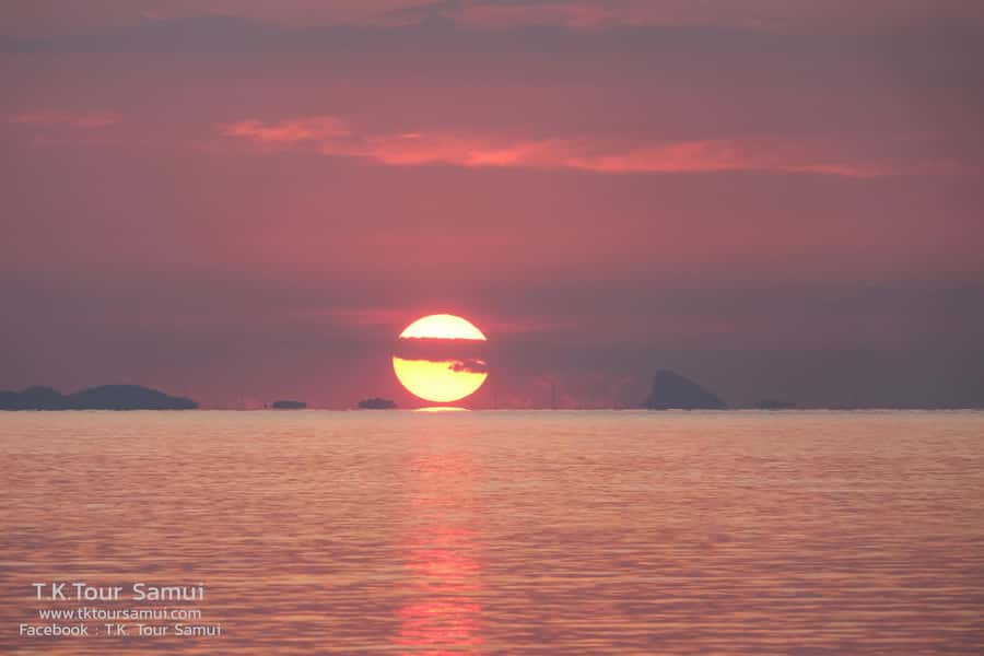 Koh Samui: Sunset Pig Island and Snorkeling Koh Tan w/Dinner - Dinner at T.K. Restaurant: what the Thai set menu feels like