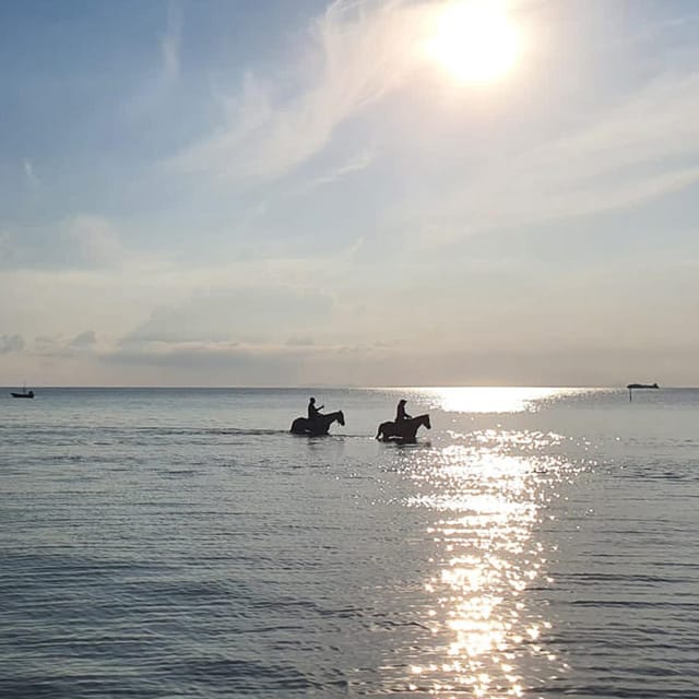 Koh Samui: Sunset Trail Horse Riding on The Beach - From Tropical Gardens to the Shoreline