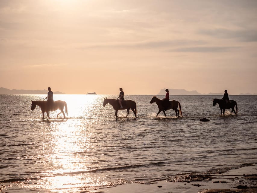 Koh Samui: Sunset Trail Horse Riding on The Beach - Riding Comfort Levels, Sea Time, and Staff Support