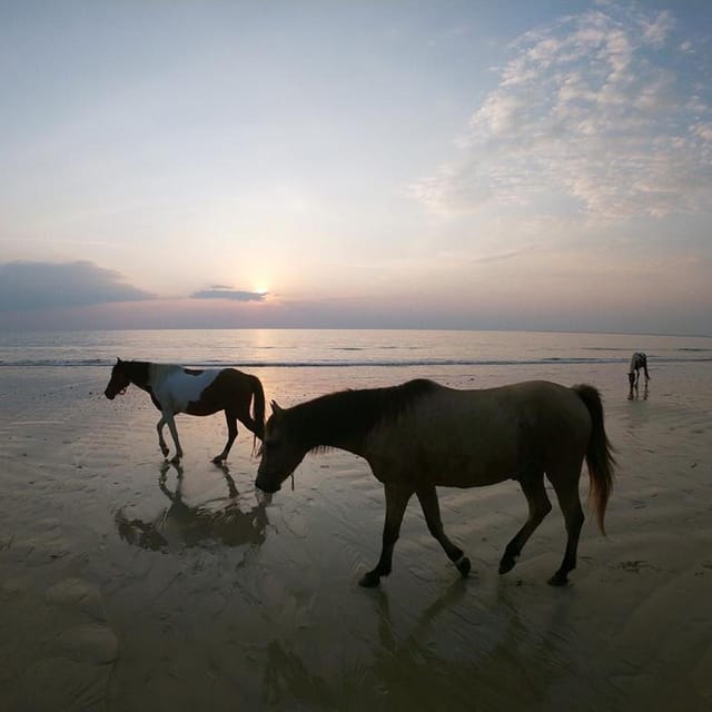 Koh Samui: Sunset Trail Horse Riding on The Beach - Arriving at COLTS: Check-In, Gear, and the Safety Brief