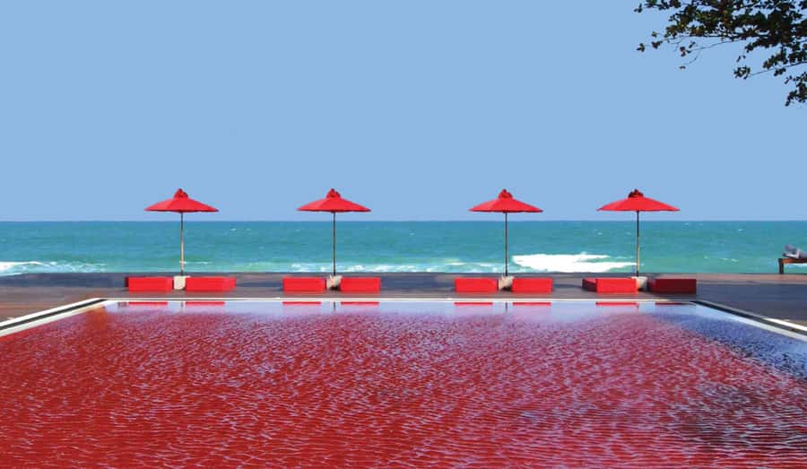 Koh Samui: The Page Afternoon Tea at The Library - Artistic presentation, and why it changes how you taste