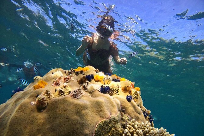 Koh Tao and Koh Nang Yuan Snorkel Tour (Speedboat from Koh Samui) - Koh Nang Yuan: Admission, Snorkel Clarity, and the Viewpoint Walk