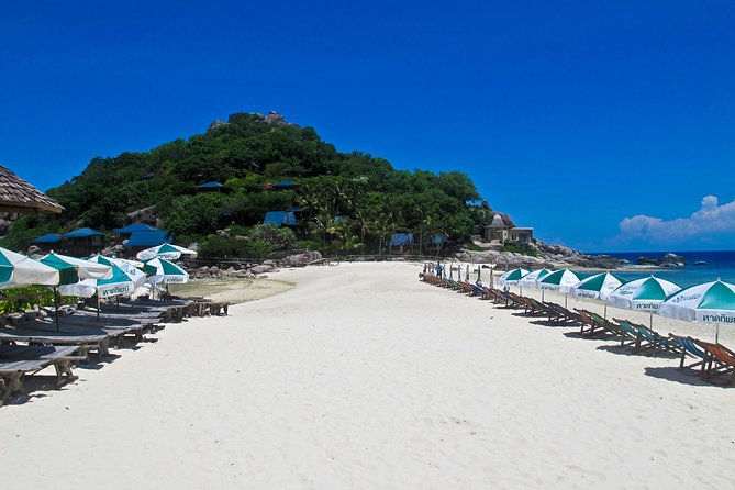 Koh Tao and Koh Nang Yuan Snorkel Tour (Speedboat from Koh Samui) - Who This Tour Fits Best (and who should pick a different day)