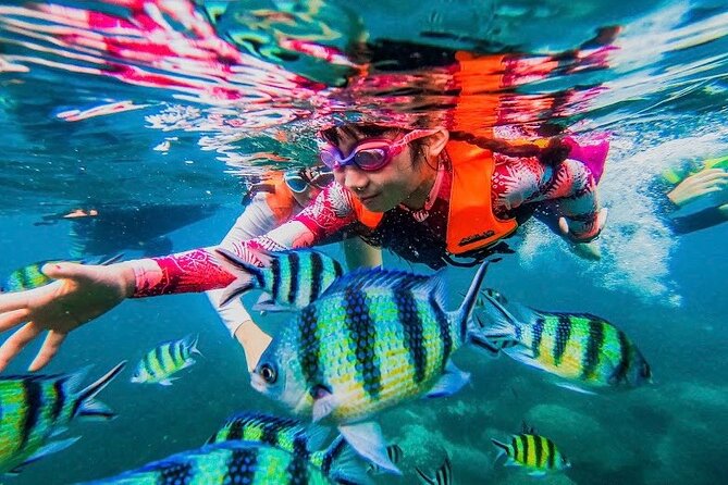 Koh Tao and Koh Nang Yuan Snorkel Tour (Speedboat from Koh Samui) - Entering the Islands: How the Day Flows (and where it can change)