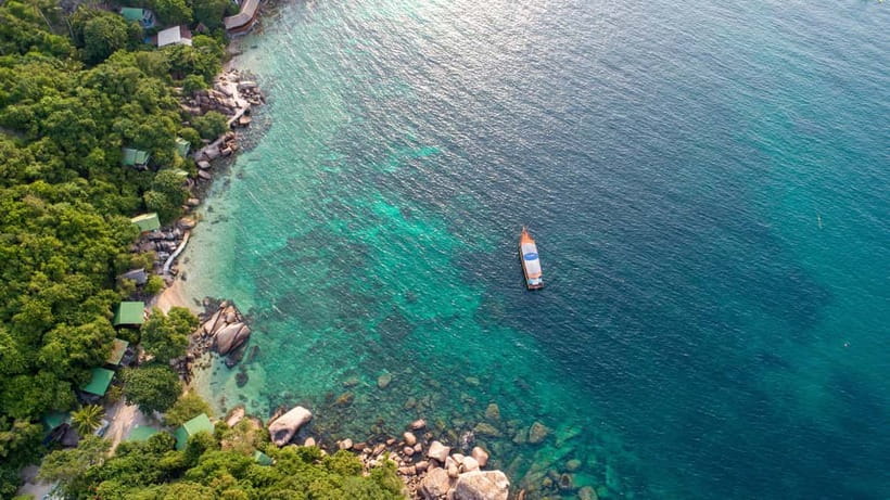 Koh Tao: First Light Snorkel Adventure with Oxygen Tours - Price, value, and whether $36 feels fair for a 4-hour morning