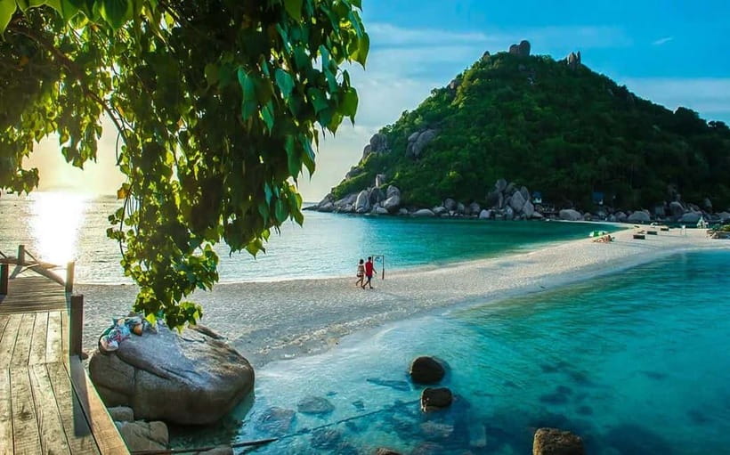 Koh Tao: Golden Hour Getaway – Your Late Start to Paradise - Shark Bay at golden hour: blacktip reef sharks and sea turtles