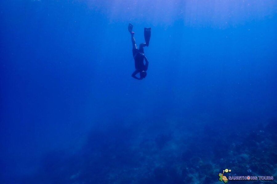 Koh Tao: Islands Snorkeling Highlights Day Tour & Lunch - From hotel pickup to Mae Haad Pier, you’re on island time