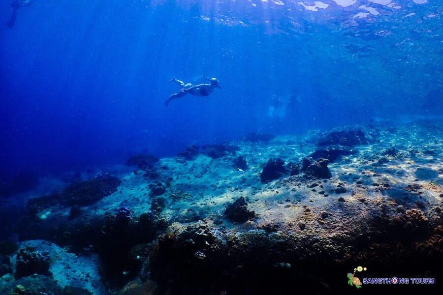 Koh Tao: Islands Snorkeling Highlights Day Tour & Lunch - Mango Bay and lunch on board, why the color matters
