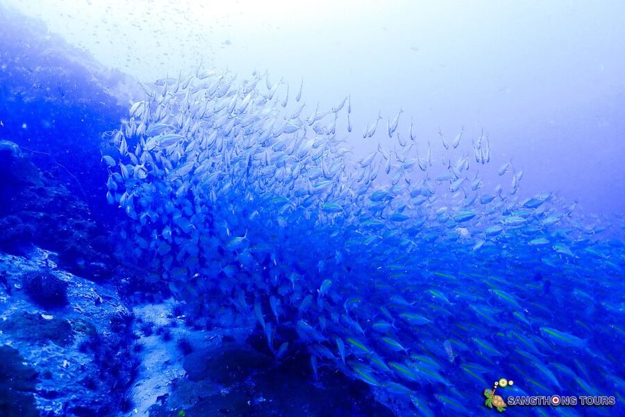 Koh Tao: Islands Snorkeling Highlights Day Tour & Lunch - Boat comfort, gear, and how the guide team makes or breaks it