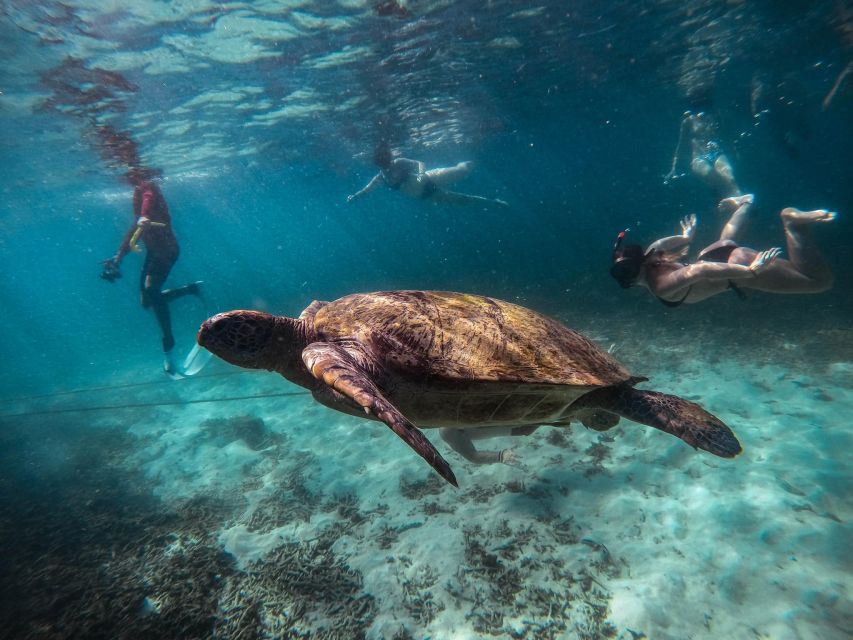 Koh Tao: Koh Nangyuan and the Hidden Bays Trip by the Oxygen - Tips to get more from your snorkeling day