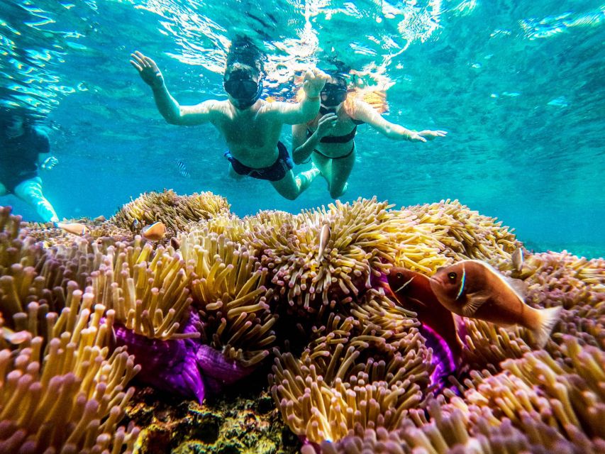 Koh Tao: Koh Nangyuan and the Hidden Bays Trip by the Oxygen - Guide energy: what Tiger and Fin seem to do differently