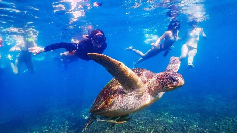 Koh Tao: Koh Nangyuan and the Hidden Bays Trip by the Oxygen - Who this tour is best for