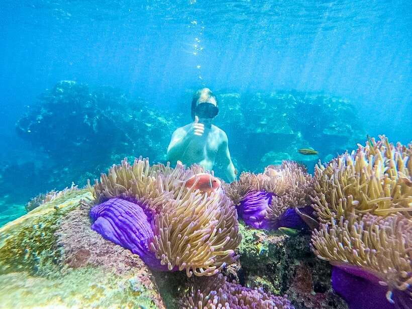 Koh Tao: Koh Nangyuan & Hidden Bays Snorkeling Tour w/ Lunch - Key points at a glance