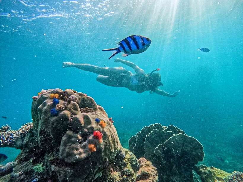 Koh Tao: Koh Nangyuan & Hidden Bays Snorkeling Tour w/ Lunch - Why Koh Nang Yuan and the hidden bays are a smart use of a full day