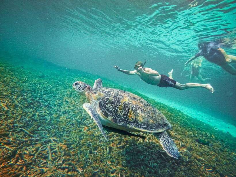 Koh Tao: Koh Nangyuan & Hidden Bays Snorkeling Tour w/ Lunch - Shark Bay photo stop: turning a pause into one more chance to spot wildlife