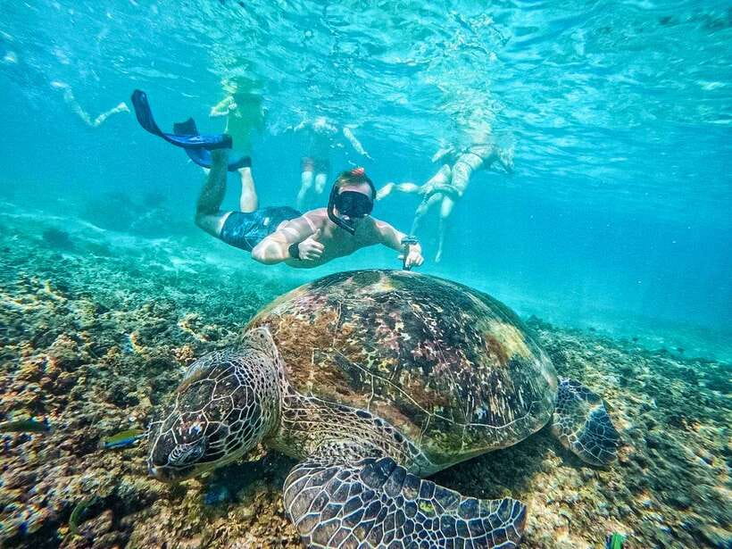 Koh Tao: Koh Nangyuan & Hidden Bays Snorkeling Tour w/ Lunch - Getting from your Koh Tao hotel to the snorkeling circuit