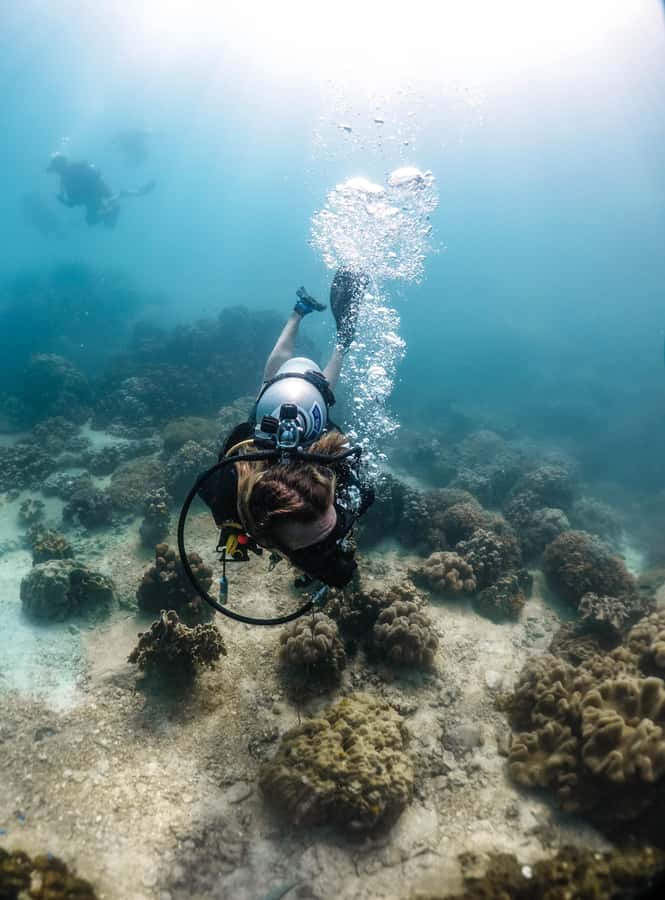Koh Tao: PADI Premium Open Water Diver Course - Where you’ll likely spend time on-site