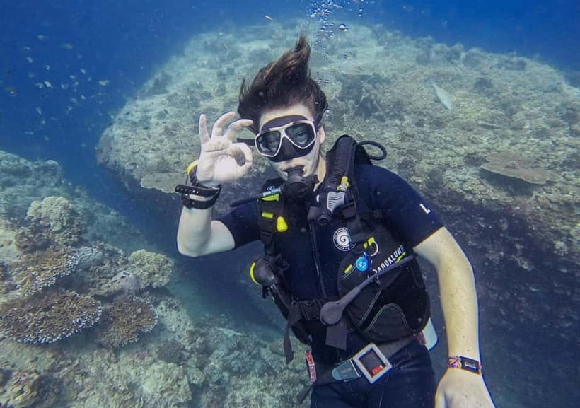 Koh Tao: PADI Try Diving Experience - Reef time on Koh Tao, turtles and blacktip sharks