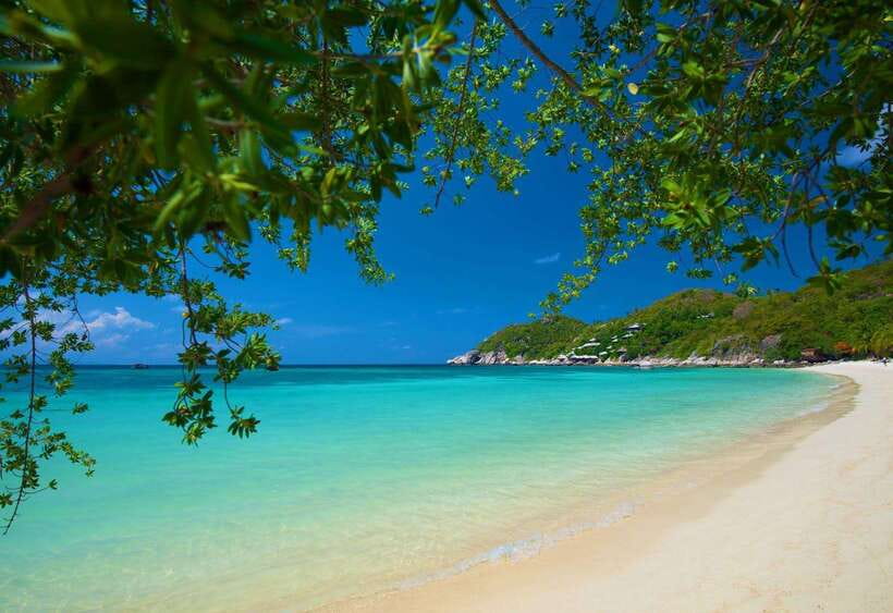 Koh Tao: Premium Snorkel Tour to Koh Nangyuan Bays by Oxygen - Equipment, safety, and the small practical tips that change everything