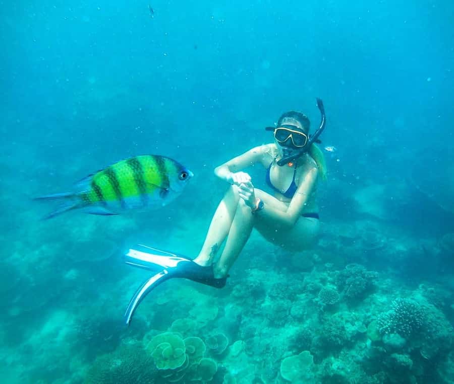 Koh Tao: Private Longtail Snorkel Tour with Nang Yuan Visit - Key highlights that matter on the water