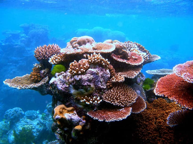 Koh Tao: Snorkeling and Sunset Tour - Who This Tour Is Best For (And Who Might Want to Think Twice)