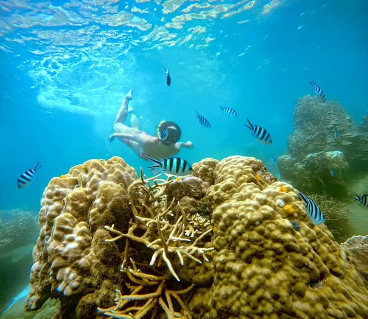 Koh Tao: Snorkeling Trip to Nang Yuan Island & Hidden Bays - From Mae Haad Pier to first splash: the boat setup matters