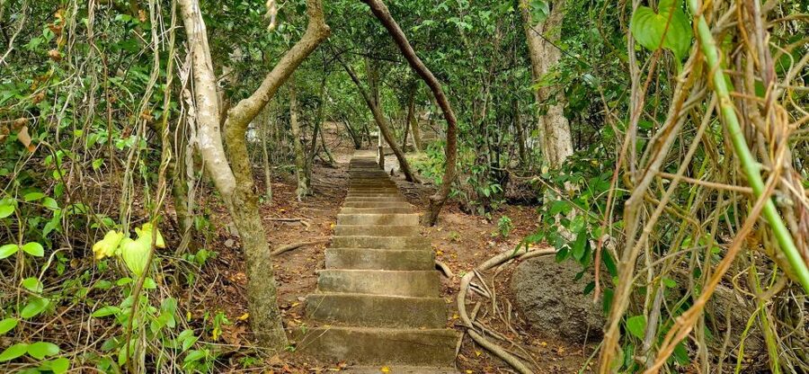 Koh Tao: Visit to Koh Nang Yuan with Hotel Transfers - Boat comfort and weather: what rain and seas matter most