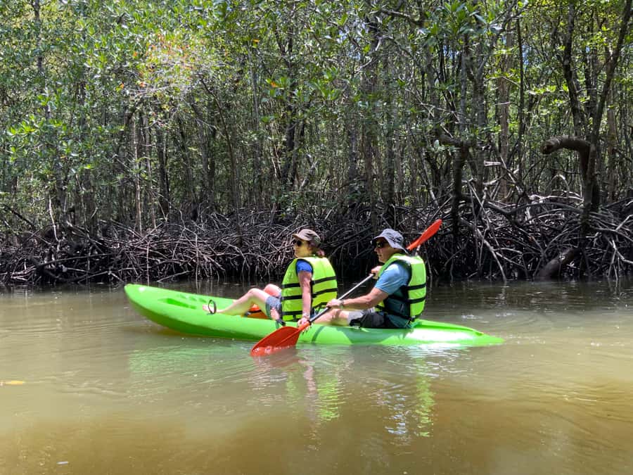 Koh Yao Yai: Klong Hia Mangrove Kayaking - Key Highlights You’ll Care About
