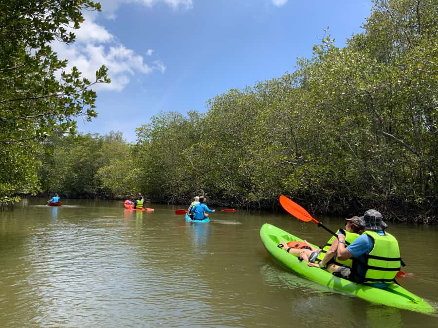 Koh Yao Yai: Klong Hia Mangrove Kayaking - Who This Fits Best, and Who Should Skip It