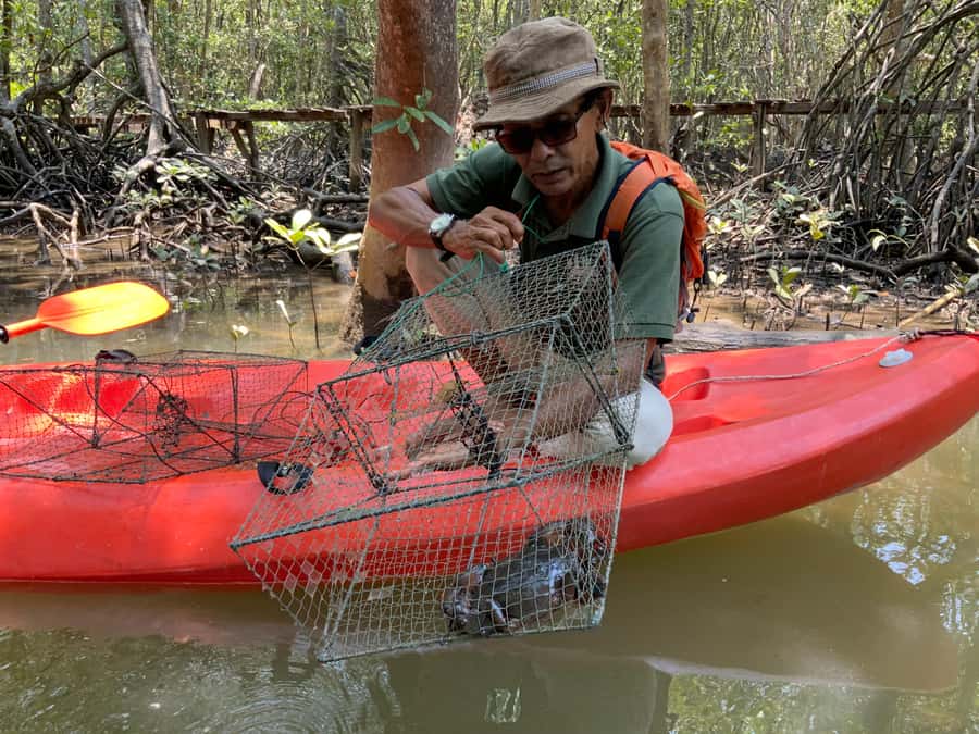 Koh Yao Yai: Klong Hia Mangrove Kayaking - Timing and Tide Levels: The One Thing That Can Change Your Day