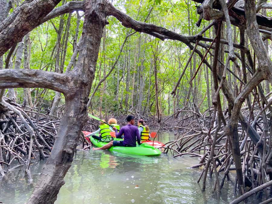 Koh Yao Yai: Klong Hia Mangrove Kayaking - Meet the Local Fishing World: Crabs, Shrimp, and Traditional Traps